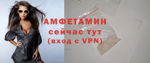 прущие грибы Пересвет