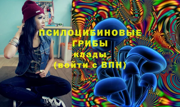МДМА Алексин