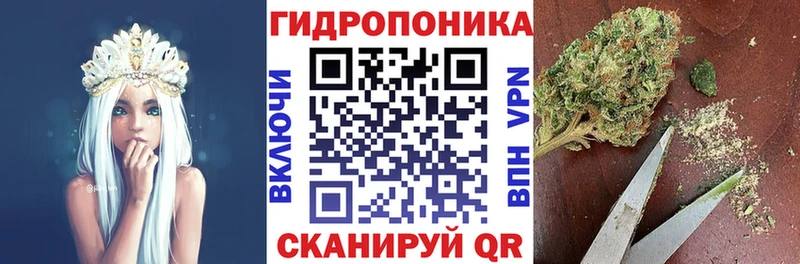 Бошки марихуана конопля  Орлов 